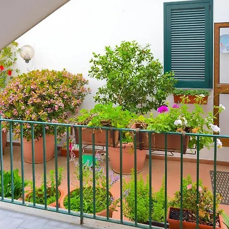 Apartment Napoleone *